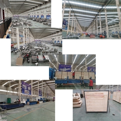 500kg per Hour Full Automatic Frozen French Fries Making Machine Production Line 8*8mm Size 38KW